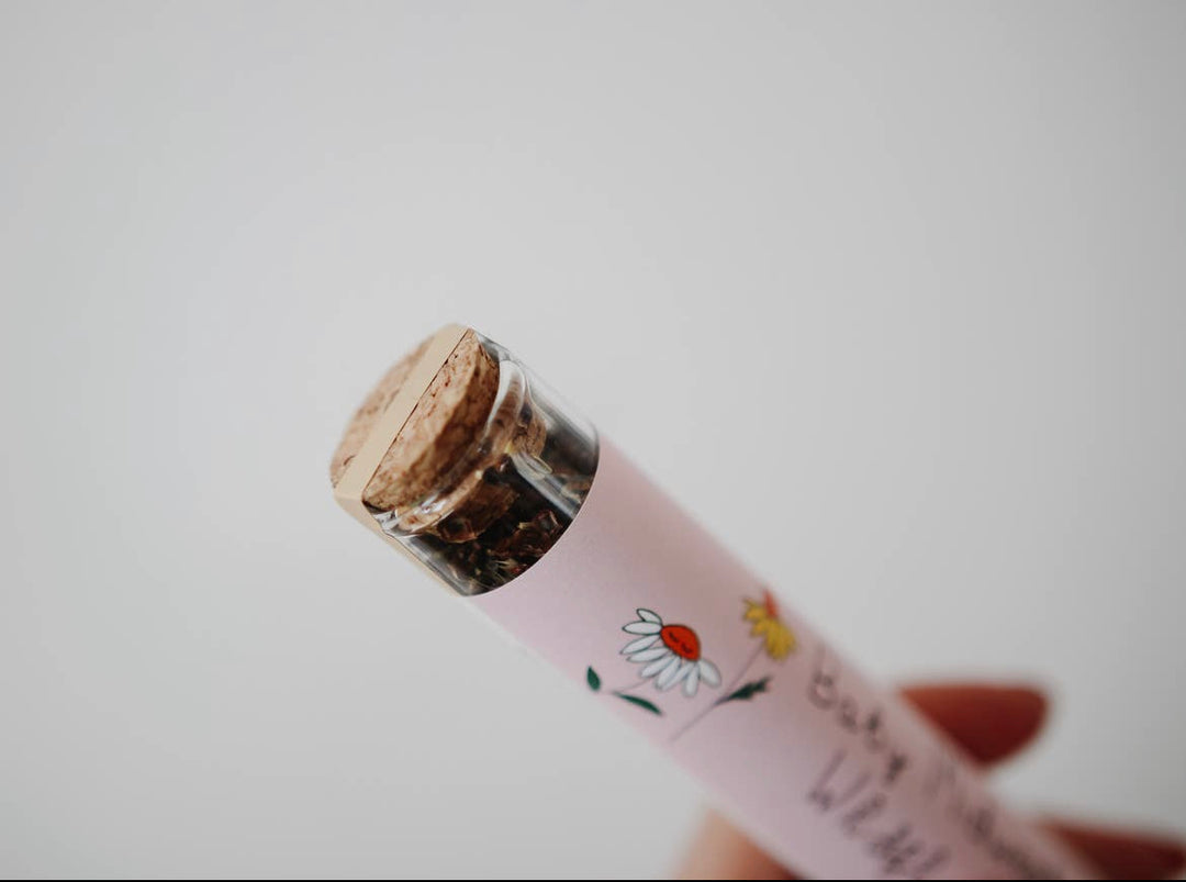 Baby Alpine Wildflower Seed Mix