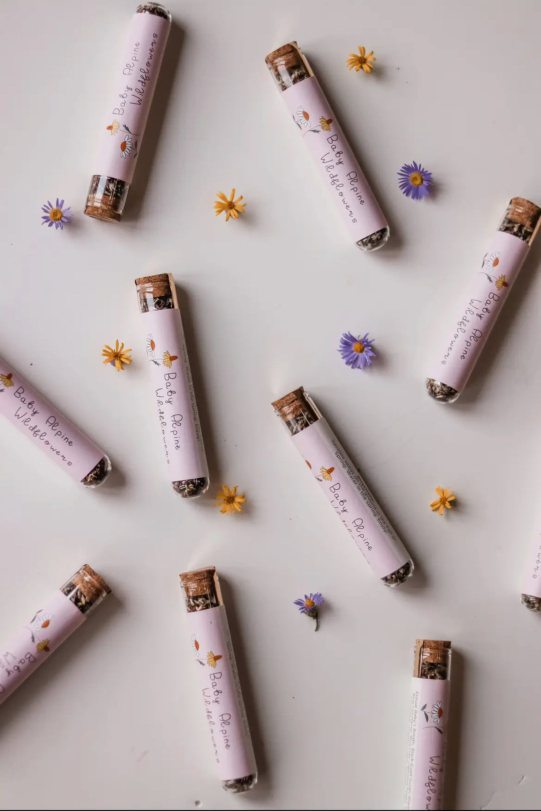 Baby Alpine Wildflower Seed Mix