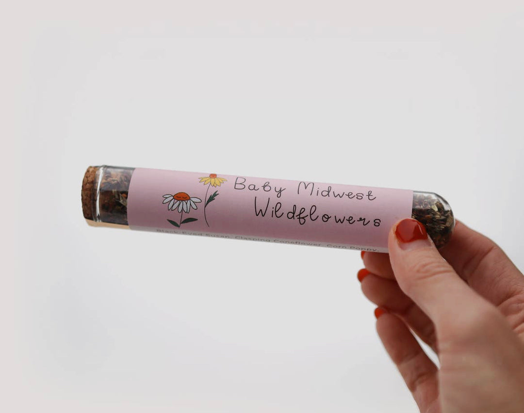 Baby Alpine Wildflower Seed Mix