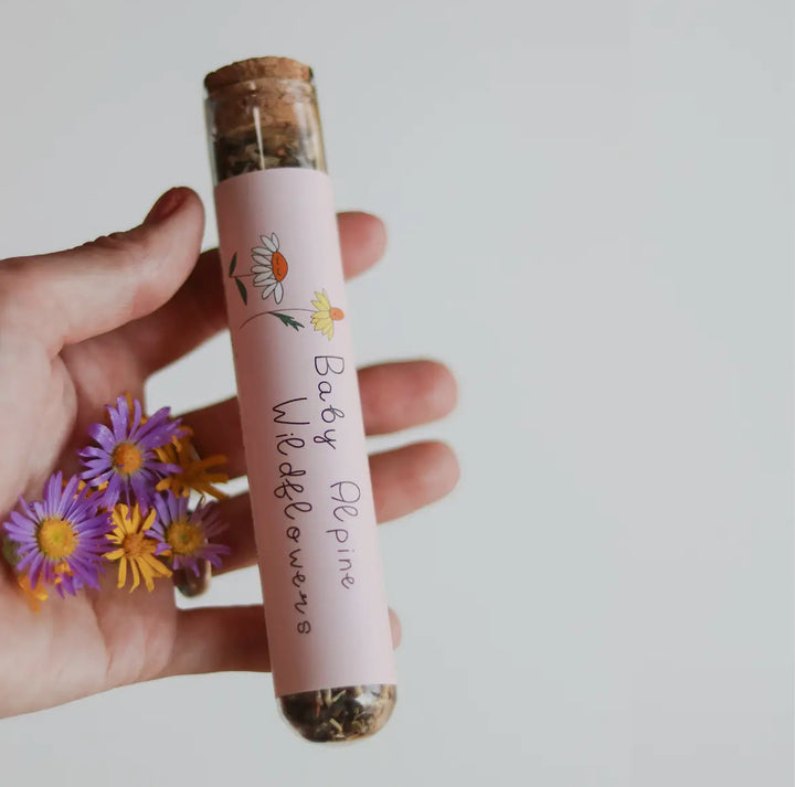 Baby Alpine Wildflower Seed Mix